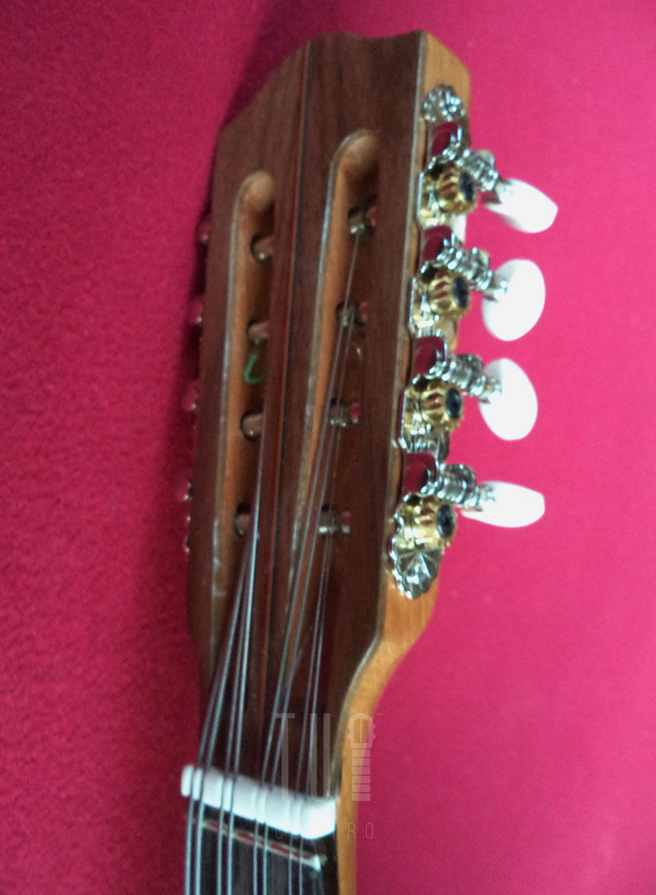 Mandola Octavada de 19 trastes