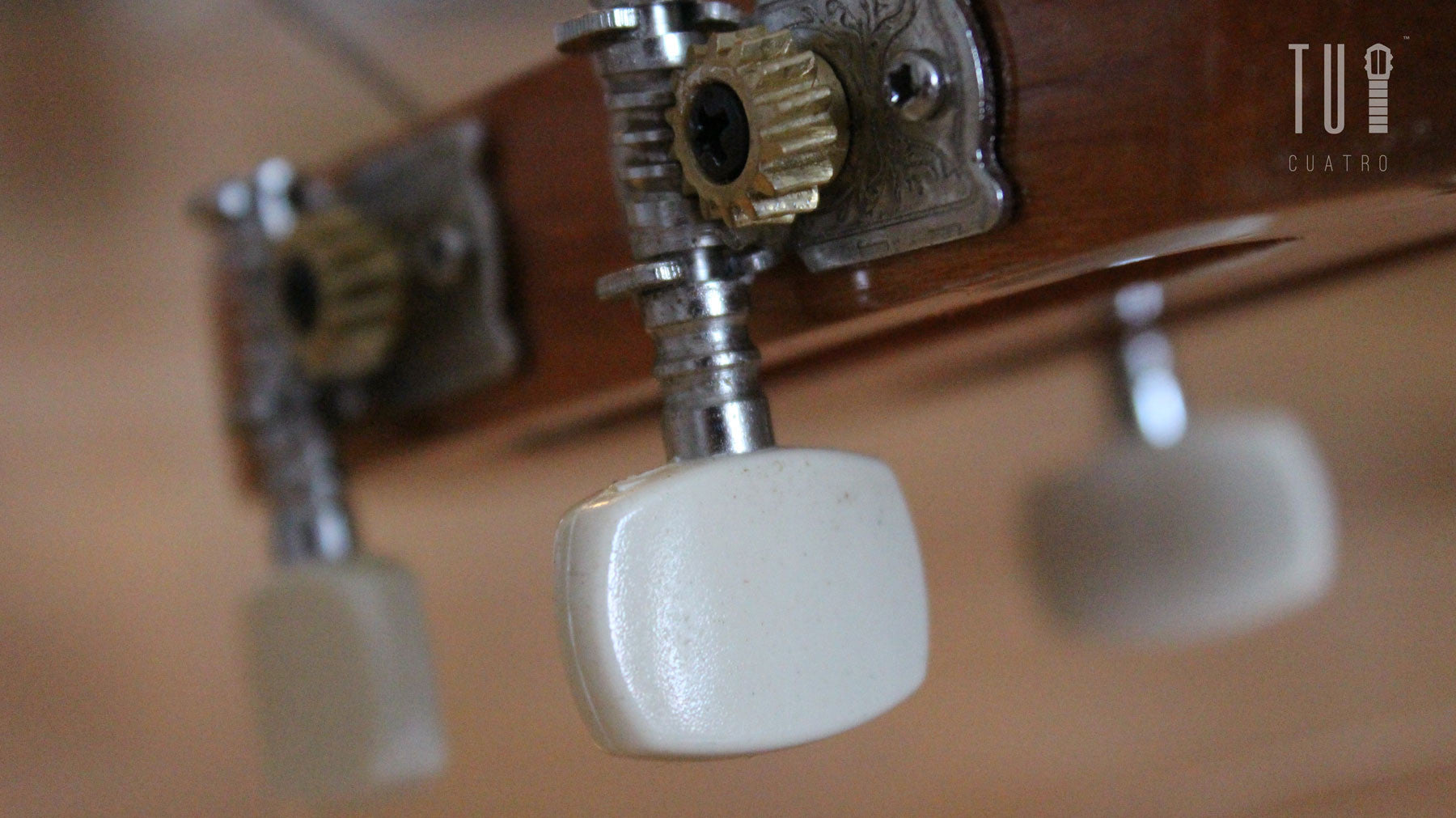 Stringed Musical Instruments For Beginner Musicians Tagged stringed-musical-instruments-for-beginner-musicians-tagged