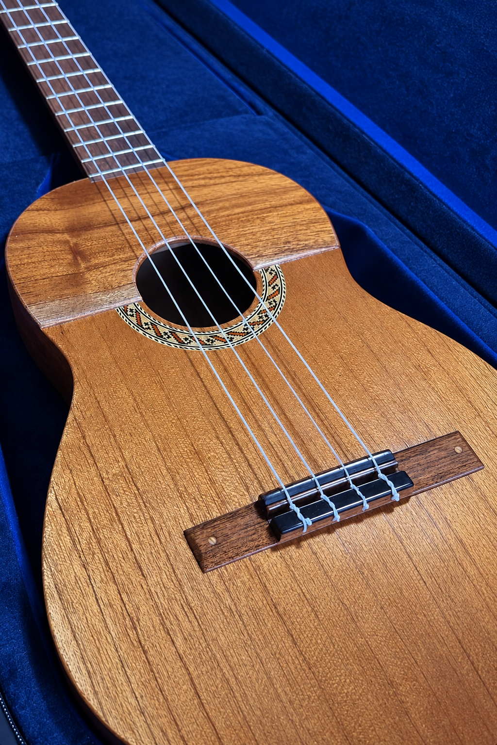 Adelys Jimenez Venezuelan Cuatro - 15 or 17 Frets