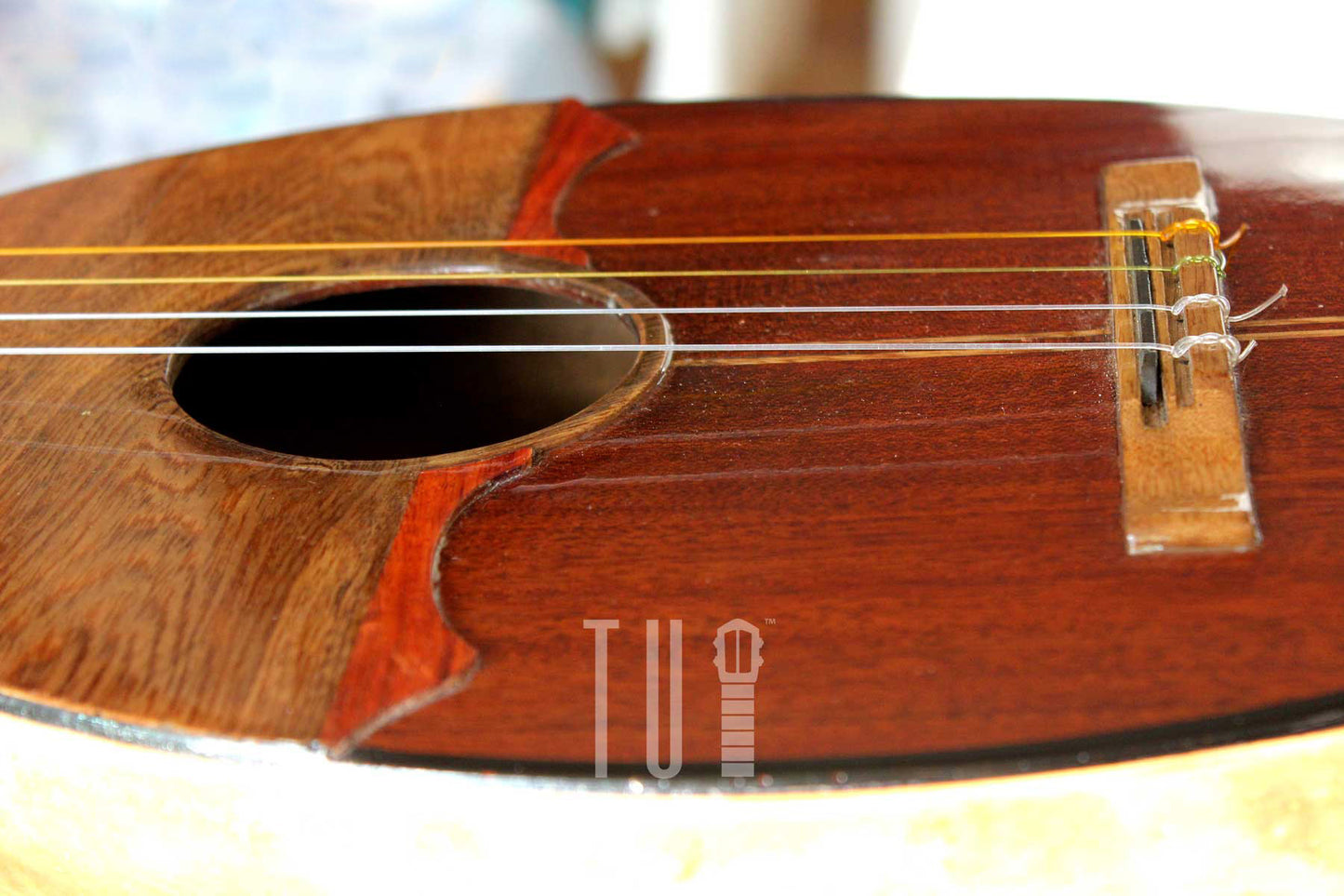 Cuatro Tapara 15 Frets / Environmentally friendly